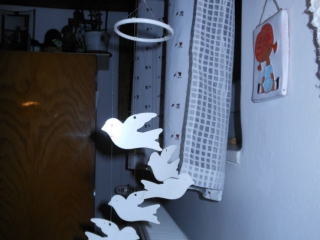 Elfi's duifjes in mijn logeerkamer bij &Eacute;va thuis.